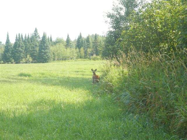 On Silver Creek Rd