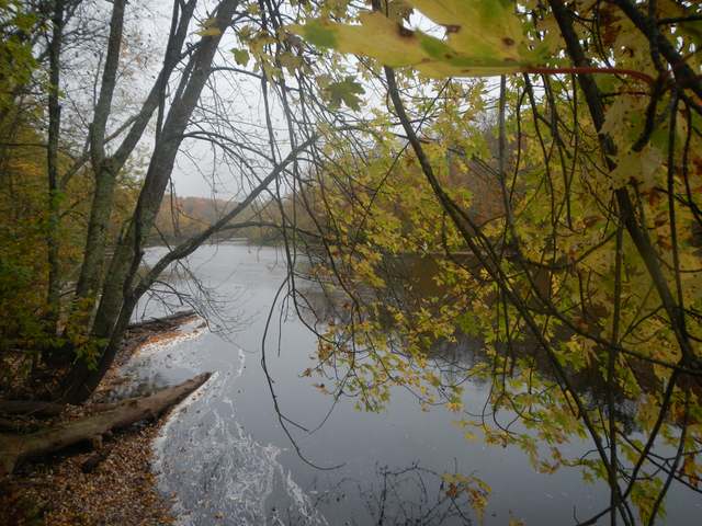 On Silver Creek Rd