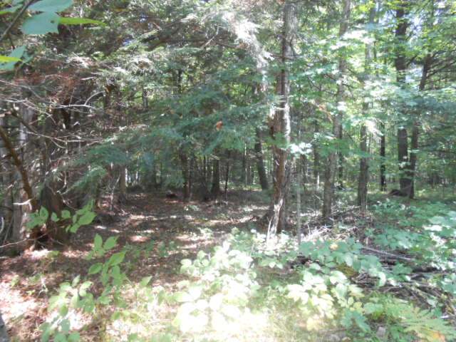 N4266 Badger Ranch Dr