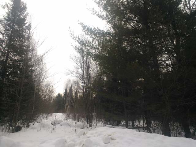 N4238 Wolf River Dr