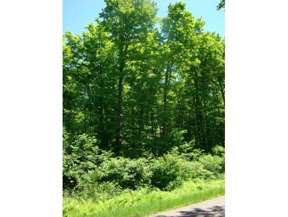 N3420 Hwy 55