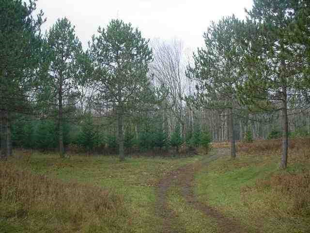 1.06 Acres Dove Lane