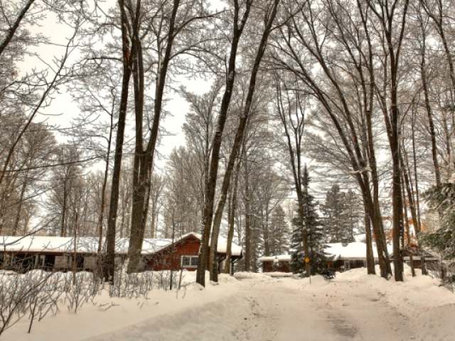 N16517 LAKESHORE DR, Butternut, WI 54514