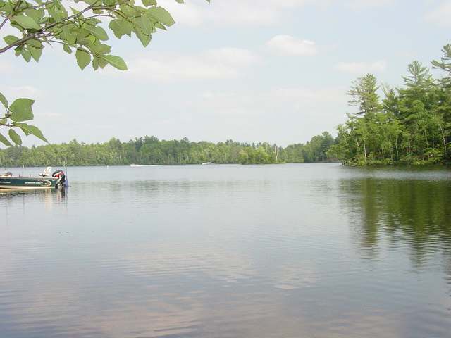 On Oak Lake Rd