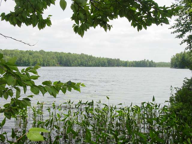 On Oak Lake Rd