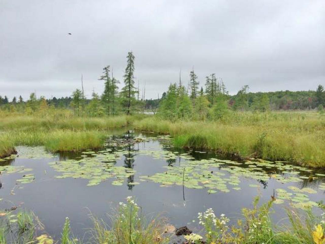 ON PINE LAKE RD, Minocqua, WI 54548