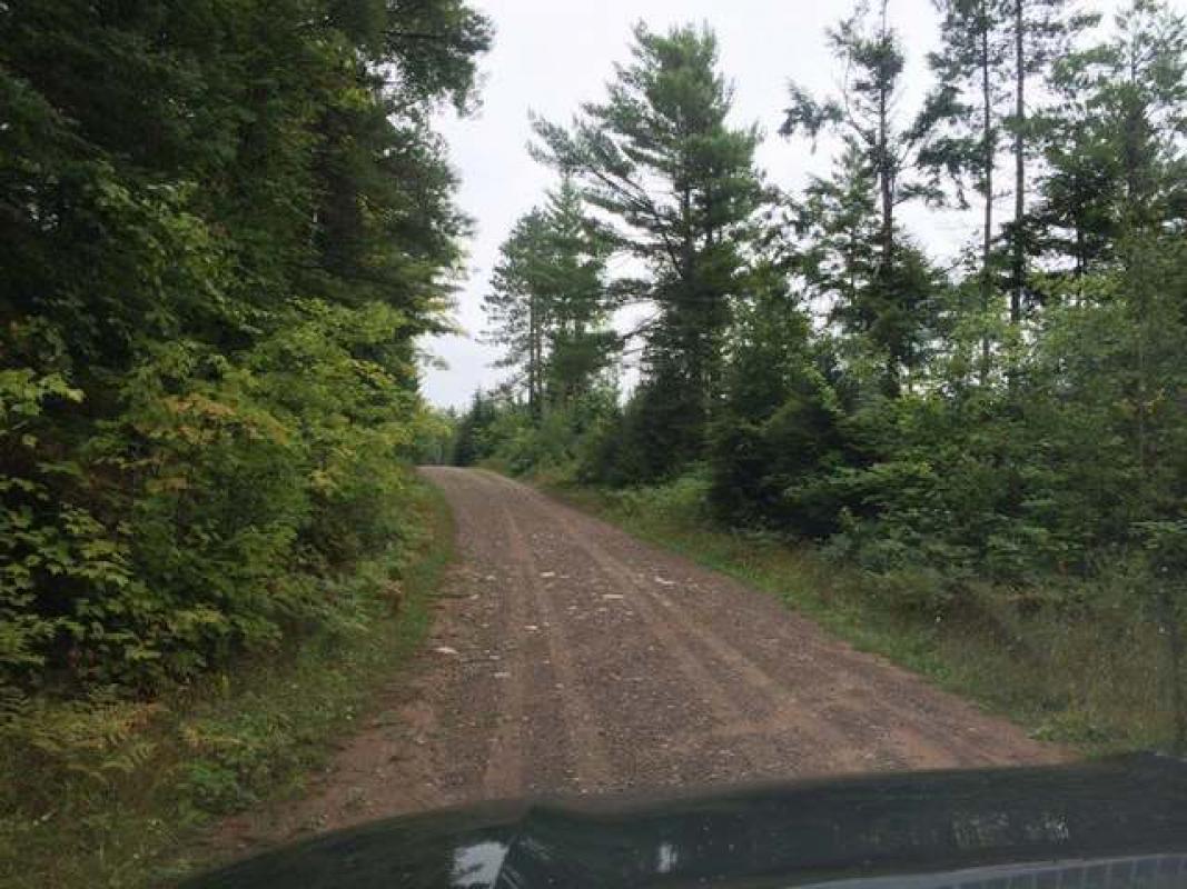 ON PINE LAKE RD, Minocqua, WI 54548