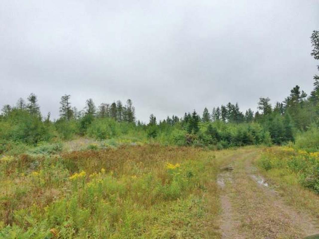 ON PINE LAKE RD, Minocqua, WI 54548
