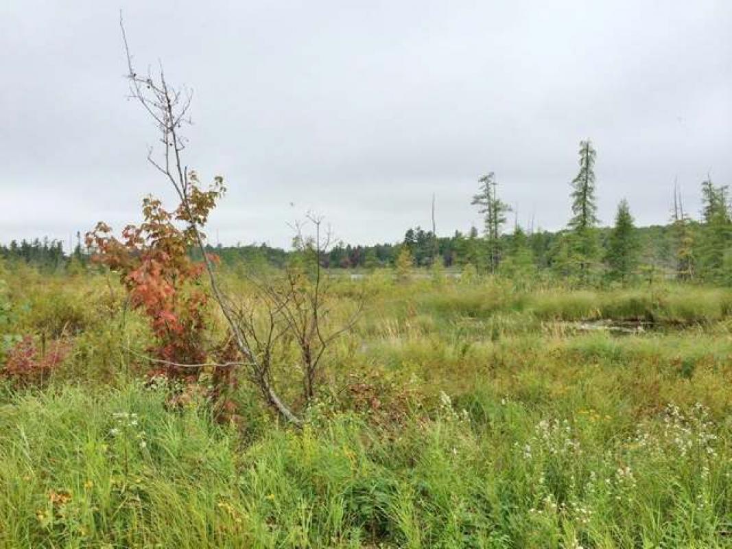 ON PINE LAKE RD, Minocqua, WI 54548