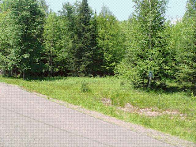 On Wood Duck Rd