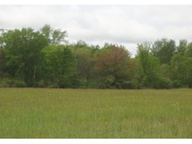 On Wood Duck Rd