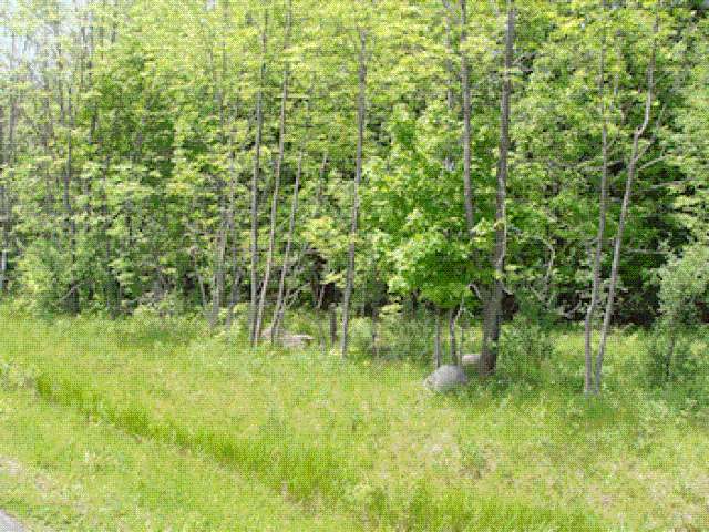 On Wood Duck Rd