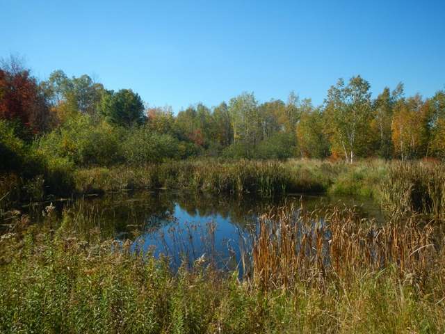 W9698 Hwy 70
