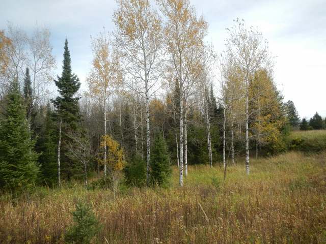 W9698 Hwy 70