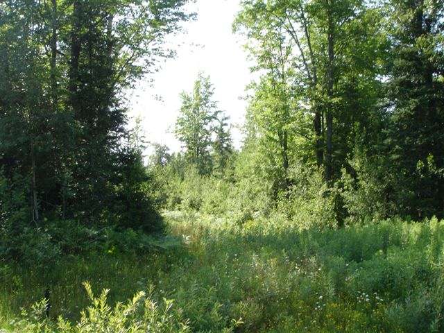 W9698 Hwy 70