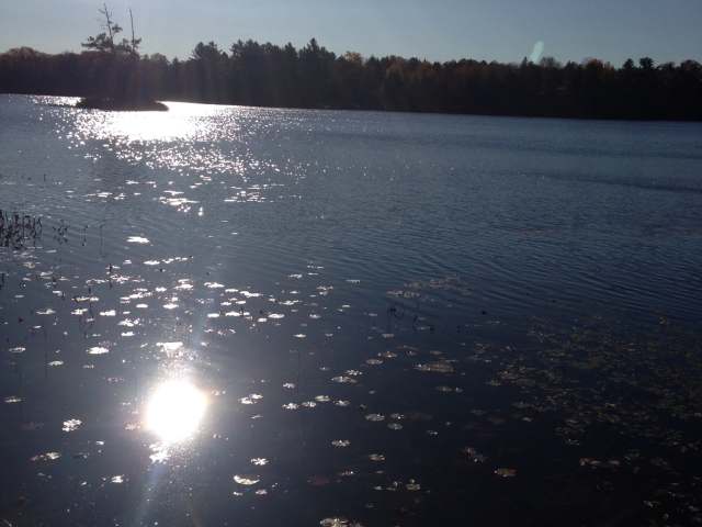 Lot 16 Adelaide Dr