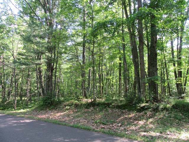 Lot 16 Adelaide Dr