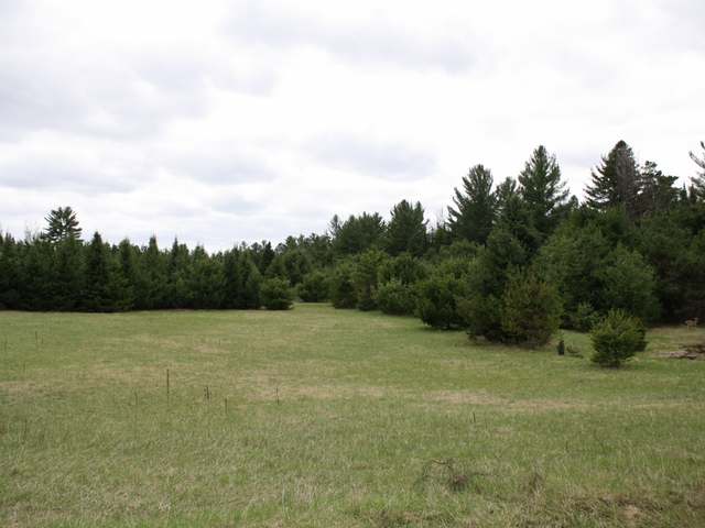 On Steve Javenkowski Rd