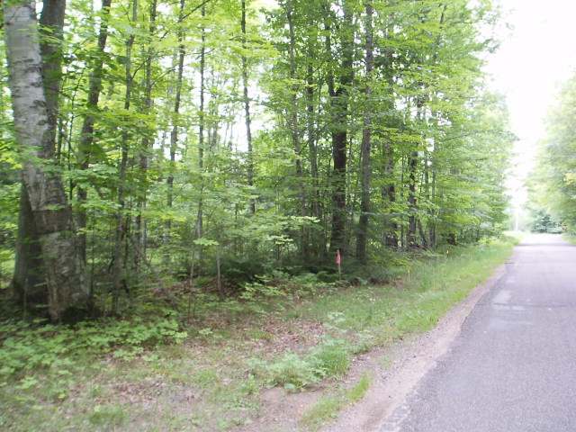 1036 Hwy 32