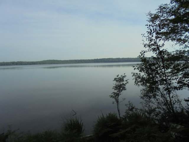 350 Lakeview Rd