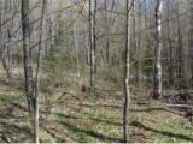 350 Lakeview Rd