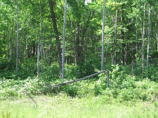 5331 Pier Lake Rd