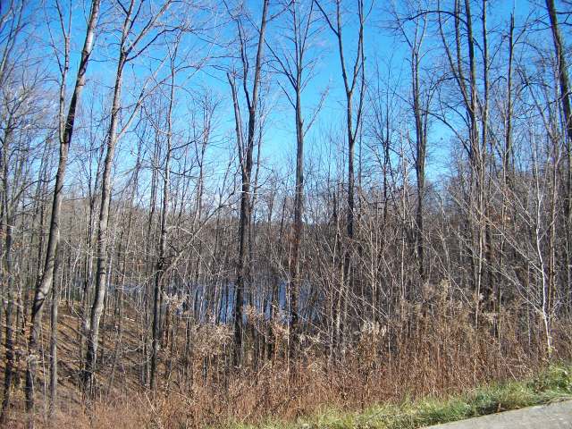 N8534 Bridge Rd