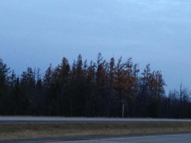 N9390 Phalzgraff Rd