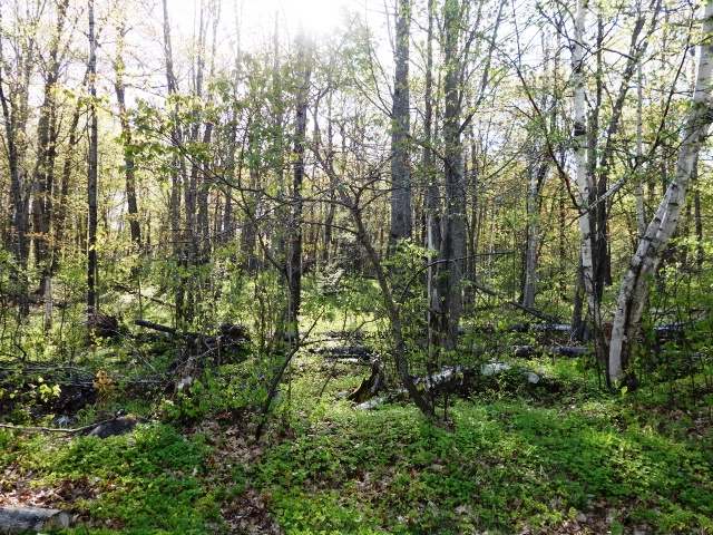 Lot 10&2 Lundy Ln