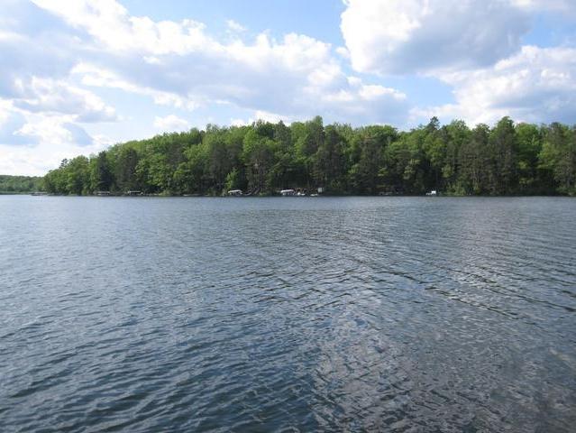 9784 White Pine Ln