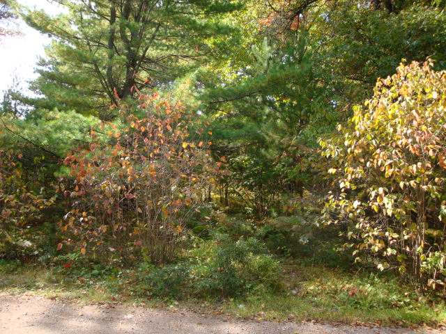 1253 Arrowhead Dr