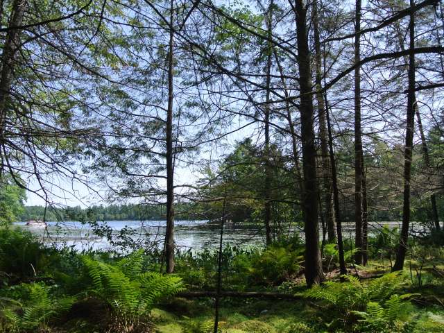 1411 Eric Dr