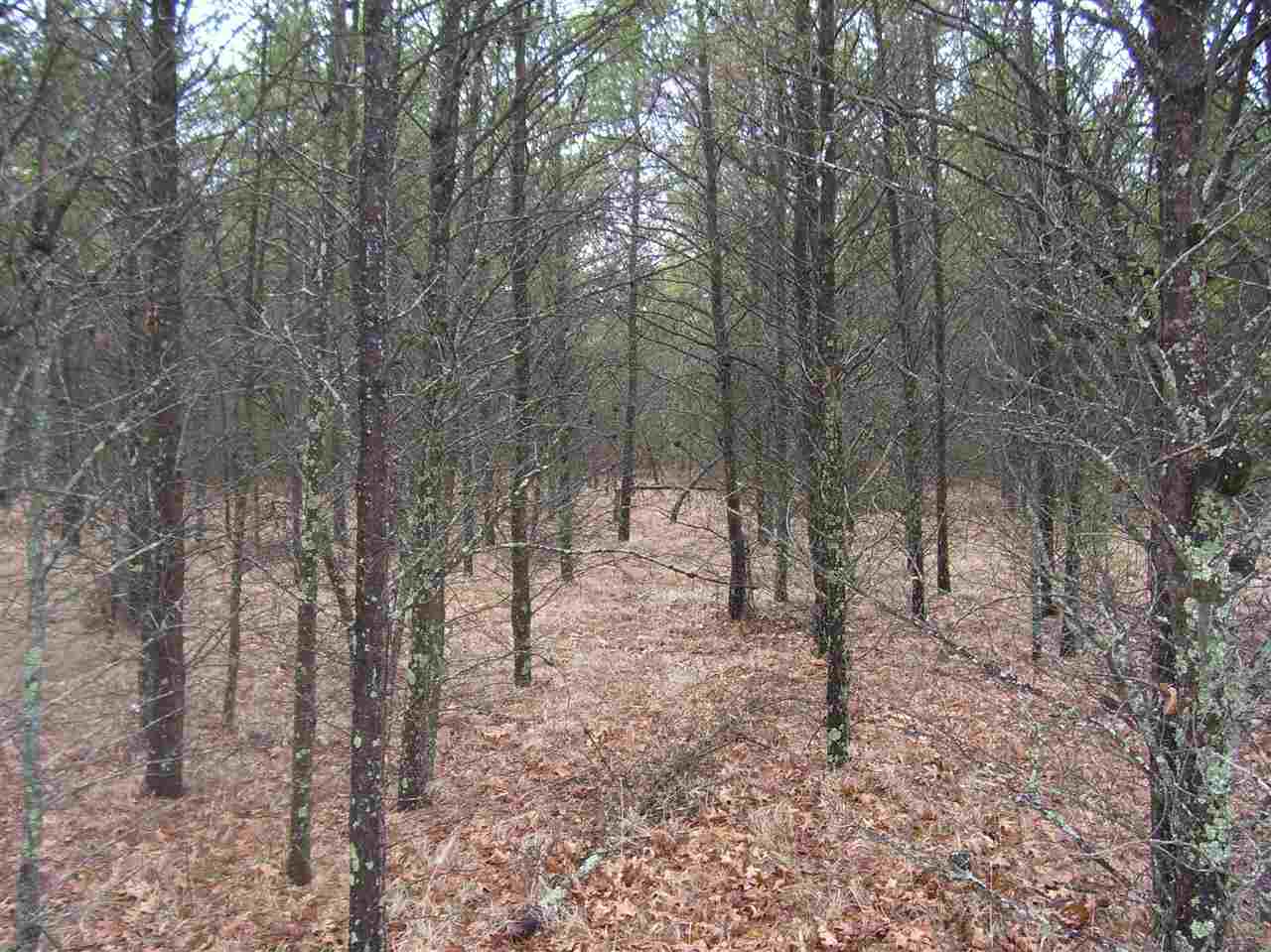 Lot 61 May's Point