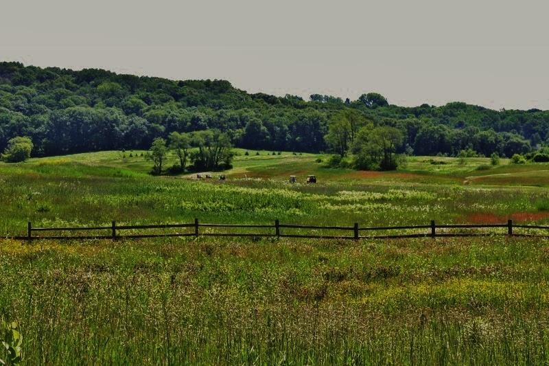 Lot 11 Southview Shores