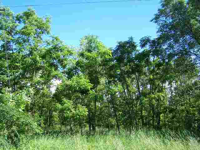 N9998 16Th Ave
