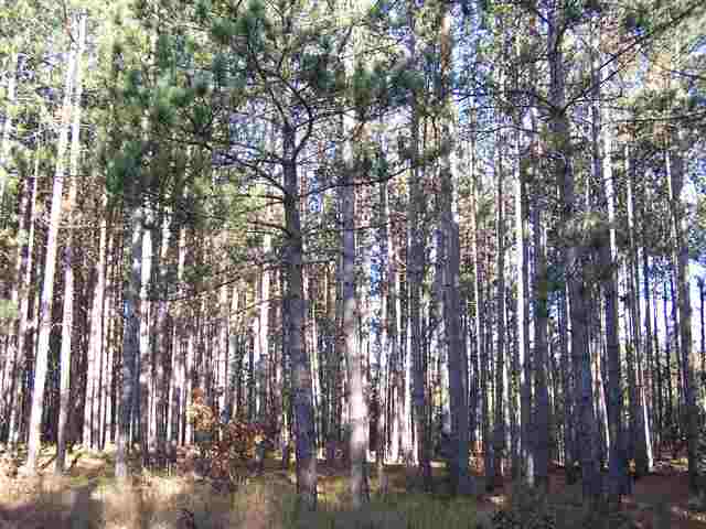 N9998 16Th Ave