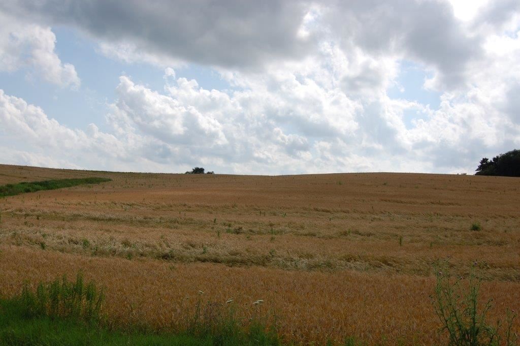 N14386 Clearview Rd