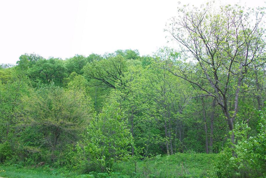 W5948 Schultz Ln