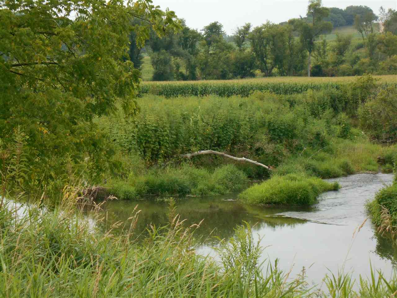 Tbd Hwy 131