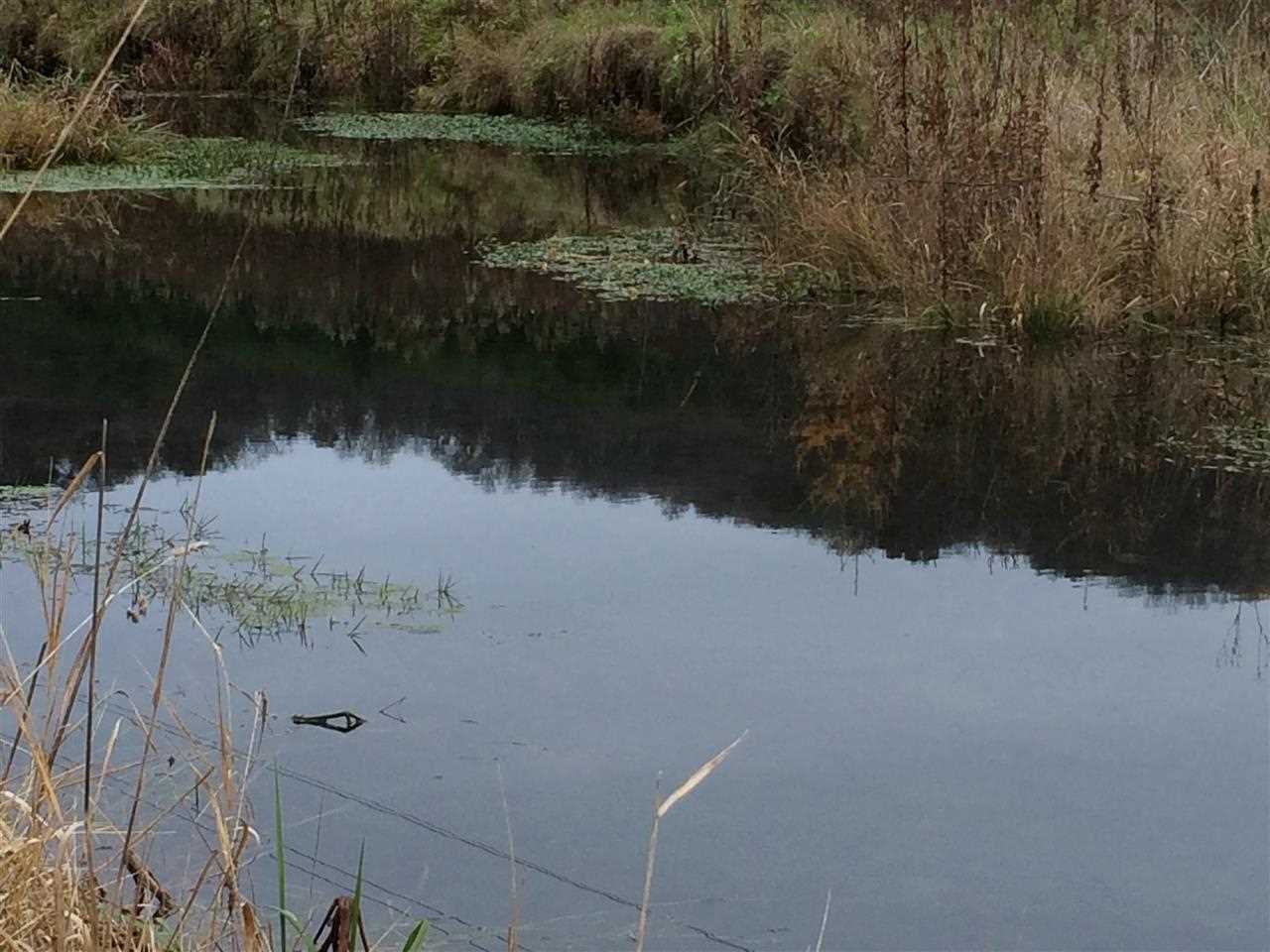 49957 Lot -3 County Road C