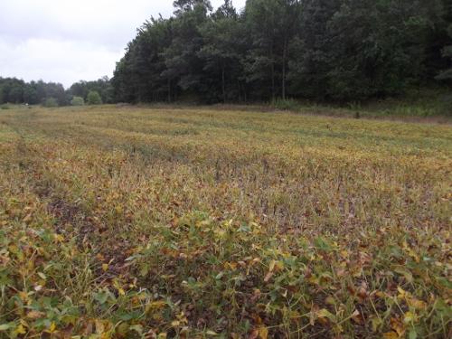 3.4+ Ac Highway 71