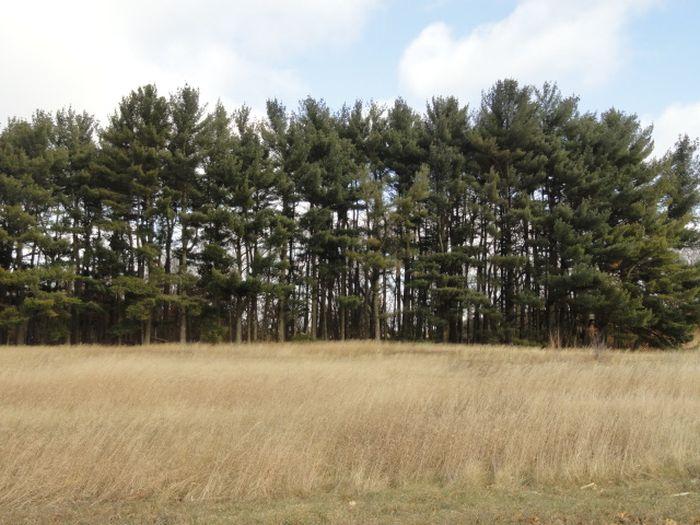 Lot 1 2 Ladder Rd