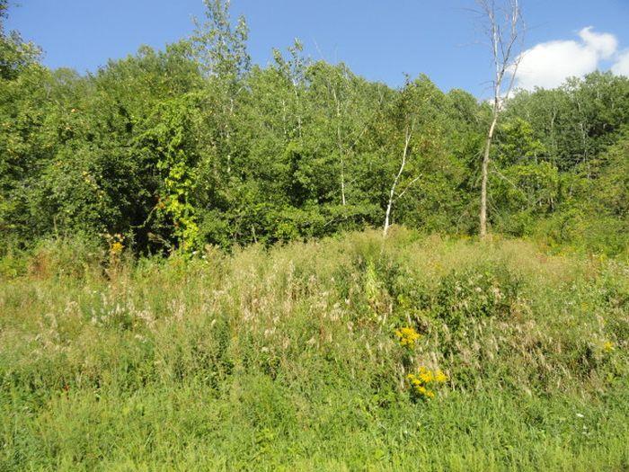 Lot 1 2 Ladder Rd