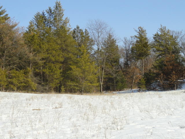 Lot 1 2 Ladder Rd