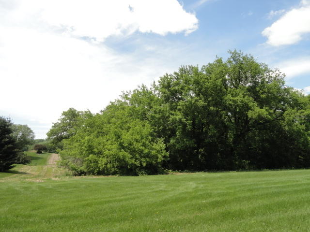 8596 County Hwy Ii