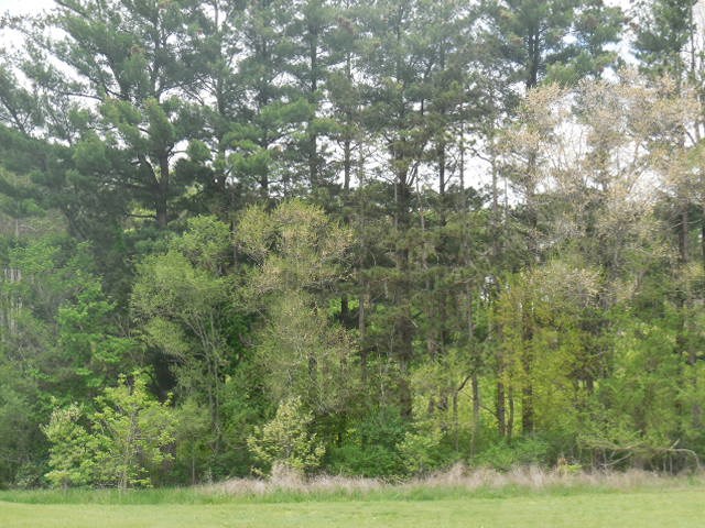 28243 Kickapoo Valley Rd