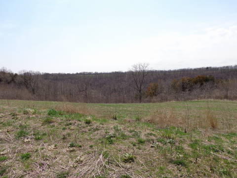 Lot 14 Runningen Rd