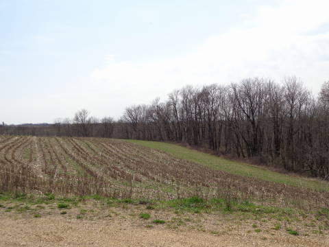 Lot 10 Runningen Rd