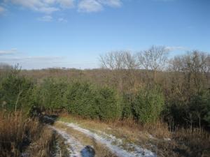 N2060 Cedar Ct