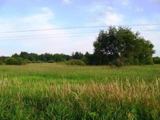 Lot 5 Interland Ave